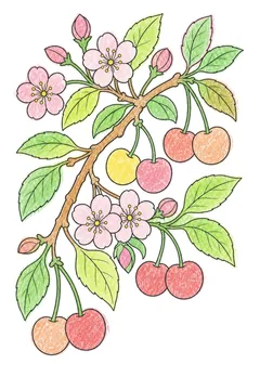 Colored example 2