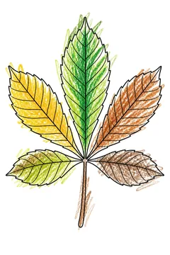 Colored example 1
