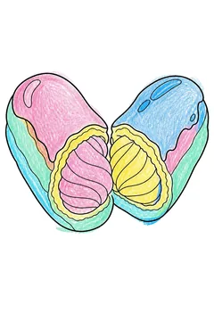 Colored example 3