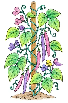 Colored example 2