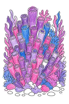 Colored example 1