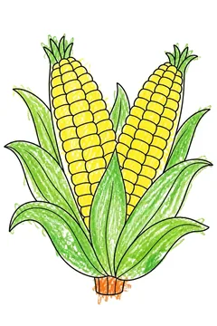 Colored example 1