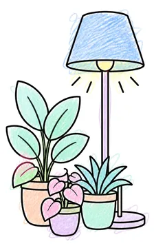 Colored example 2