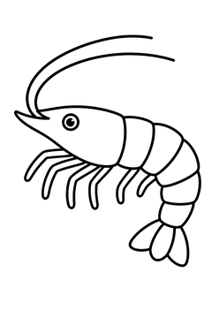Simple Prawn line art