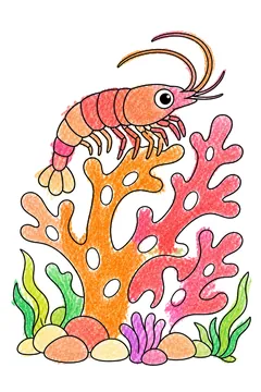Colored example 1