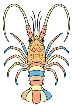 Colored example 2