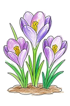 Colored example 1