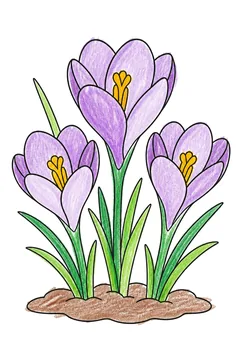 Colored example 3