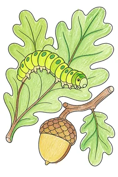 Colored example 2