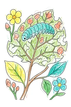 Colored example 1