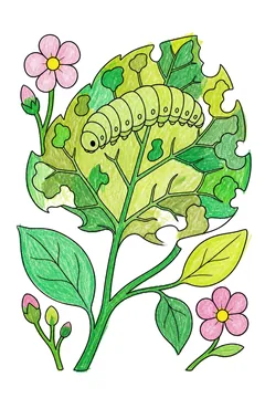 Colored example 2