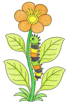 Colored example 2