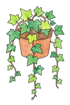 Colored example 2