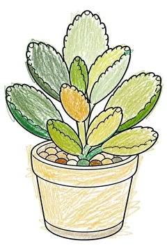 Colored example 1