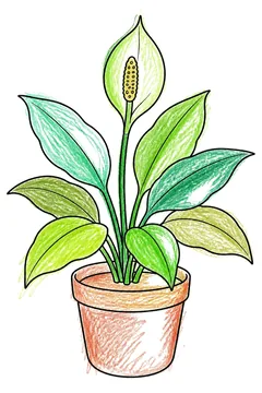 Colored example 1