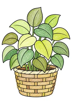 Colored example 3
