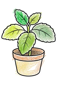 Colored example 2