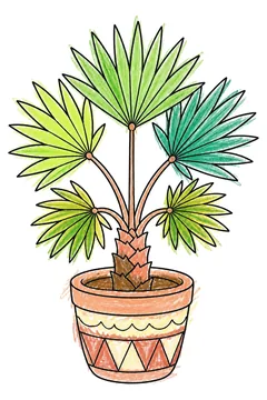 Colored example 1