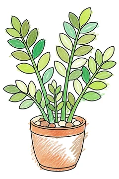 Colored example 1