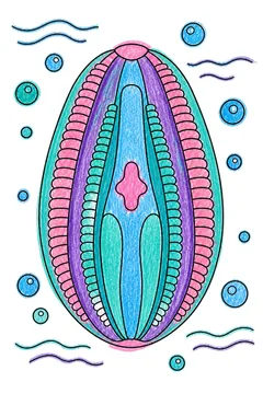 Colored example 2