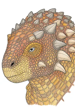Colored example 2