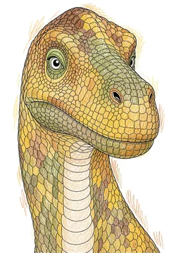 Colored example 1