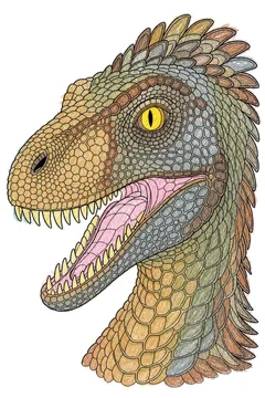 Colored example 1