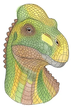 Colored example 1