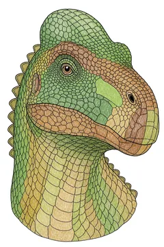 Colored example 3