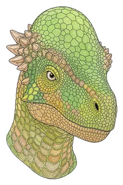 Colored example 2