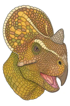 Colored example 3