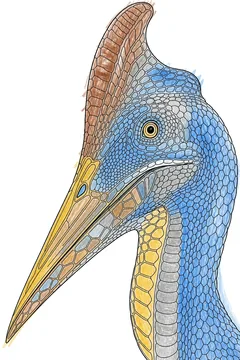 Colored example 1