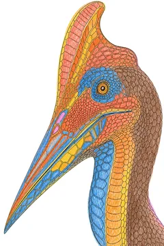 Colored example 2
