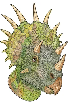 Colored example 2