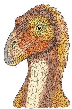 Colored example 2