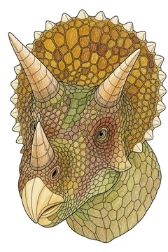 Colored example 3