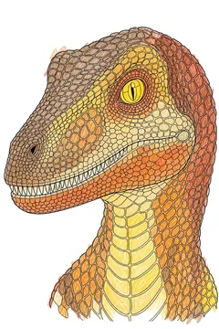 Colored example 1