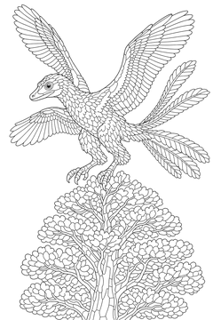 Microraptor Landing on a Treetop line art