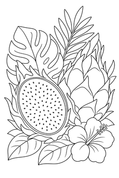 Dragon Fruit Half line art