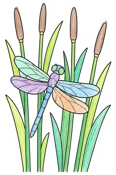 Colored example 2
