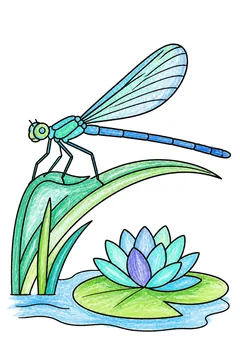 Colored example 2