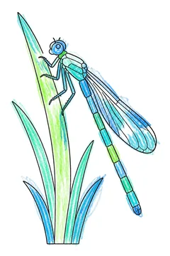 Colored example 1
