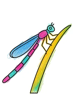 Colored example 2