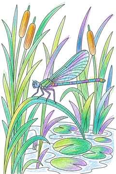 Colored example 1