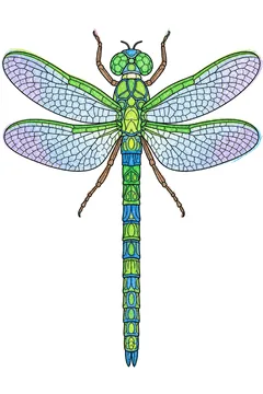 Colored example 2
