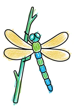 Colored example 1