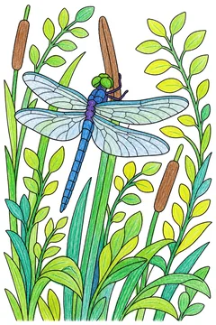 Colored example 3