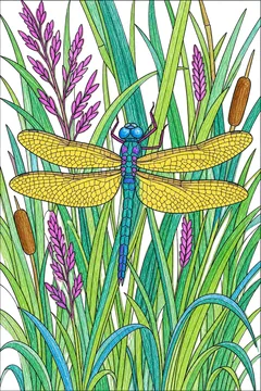 Colored example 3