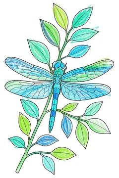 Colored example 1
