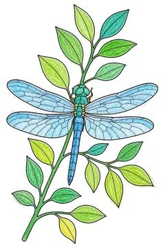 Colored example 3